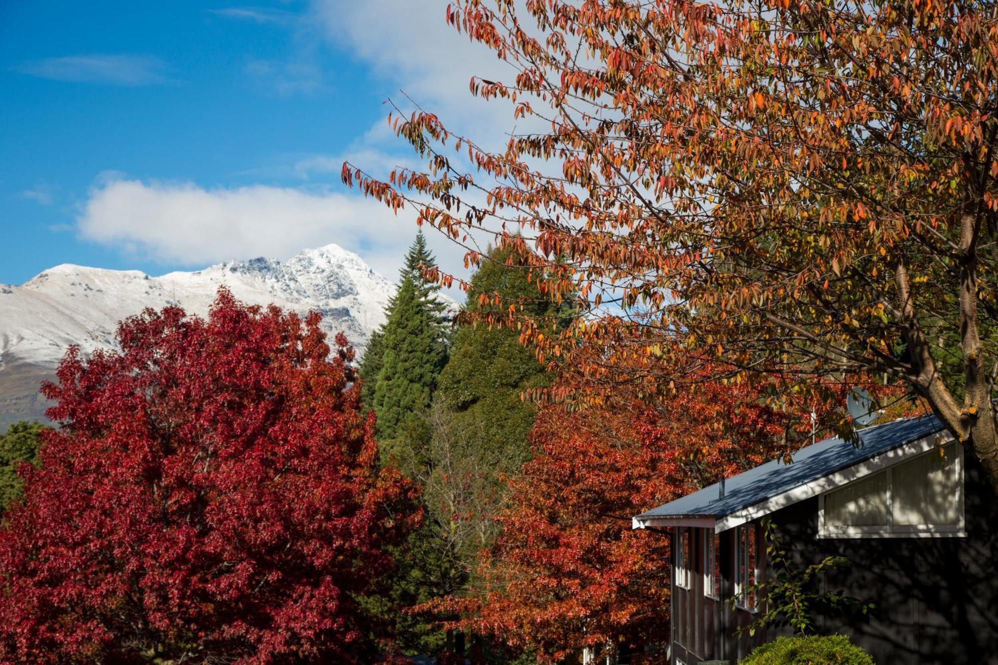 Pinewood Lodge Queenstown Extérieur photo